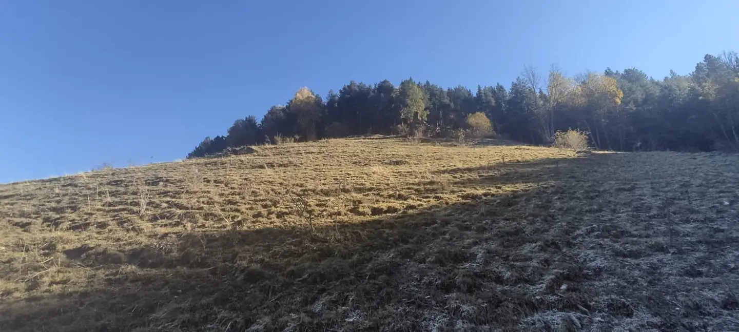 Piso en La Massana, foto 1 de 5