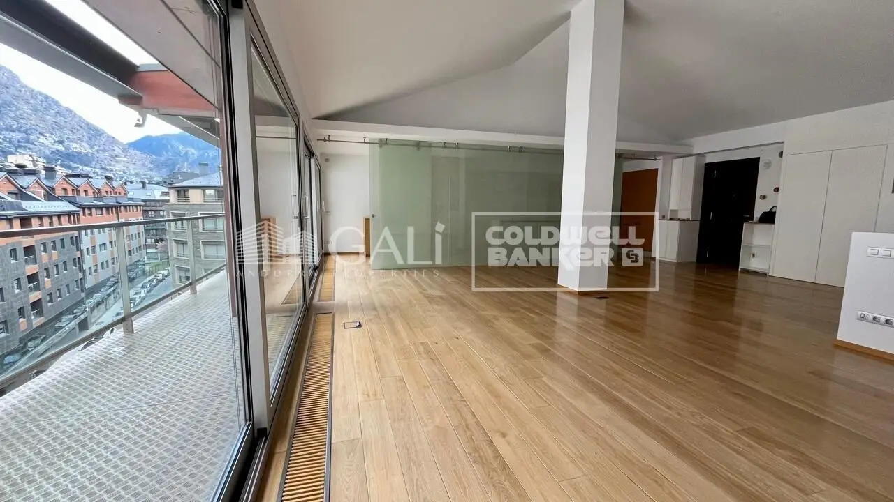 Apartment with 3 bedrooms in Andorra la Vella, photo 4 of 14