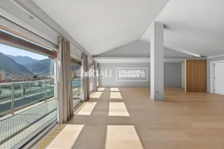 Apartament de 4 habitacions a Andorra la Vella, foto 4 de 38