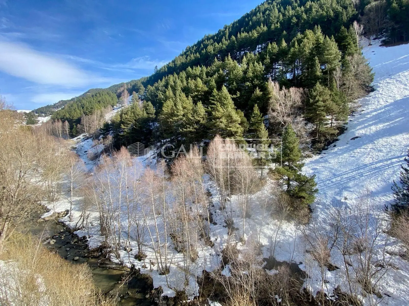 Apartamento de 2 habitaciones en Canillo, foto 6 de 14