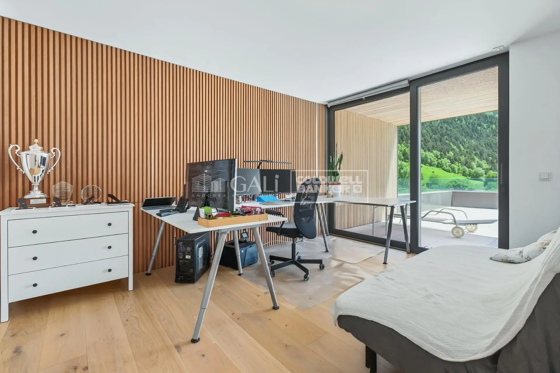 Piso de 4 habitaciones en Ordino, foto 10 de 14