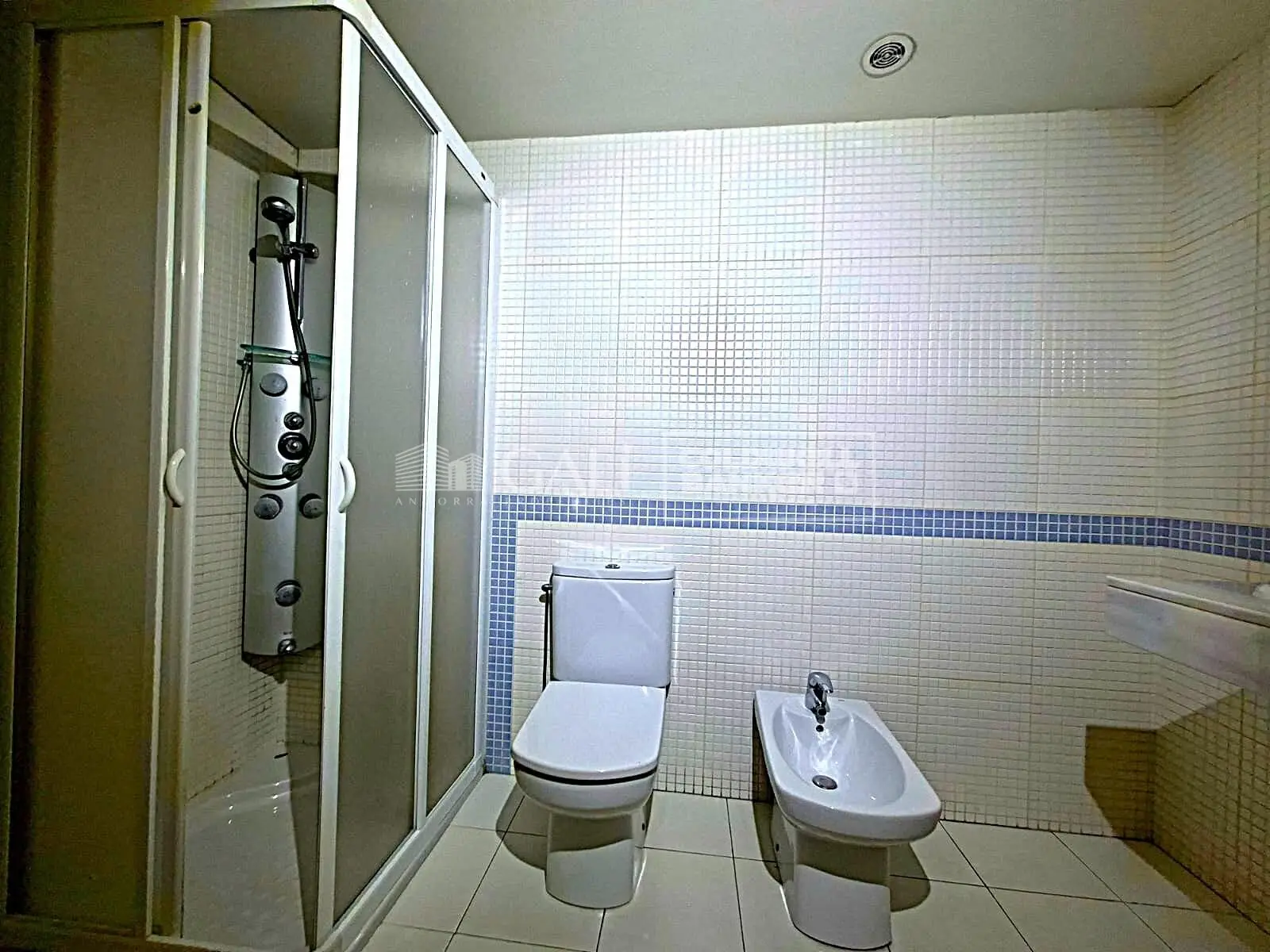 Pis de 2 habitacions a La Massana, foto 33 de 39
