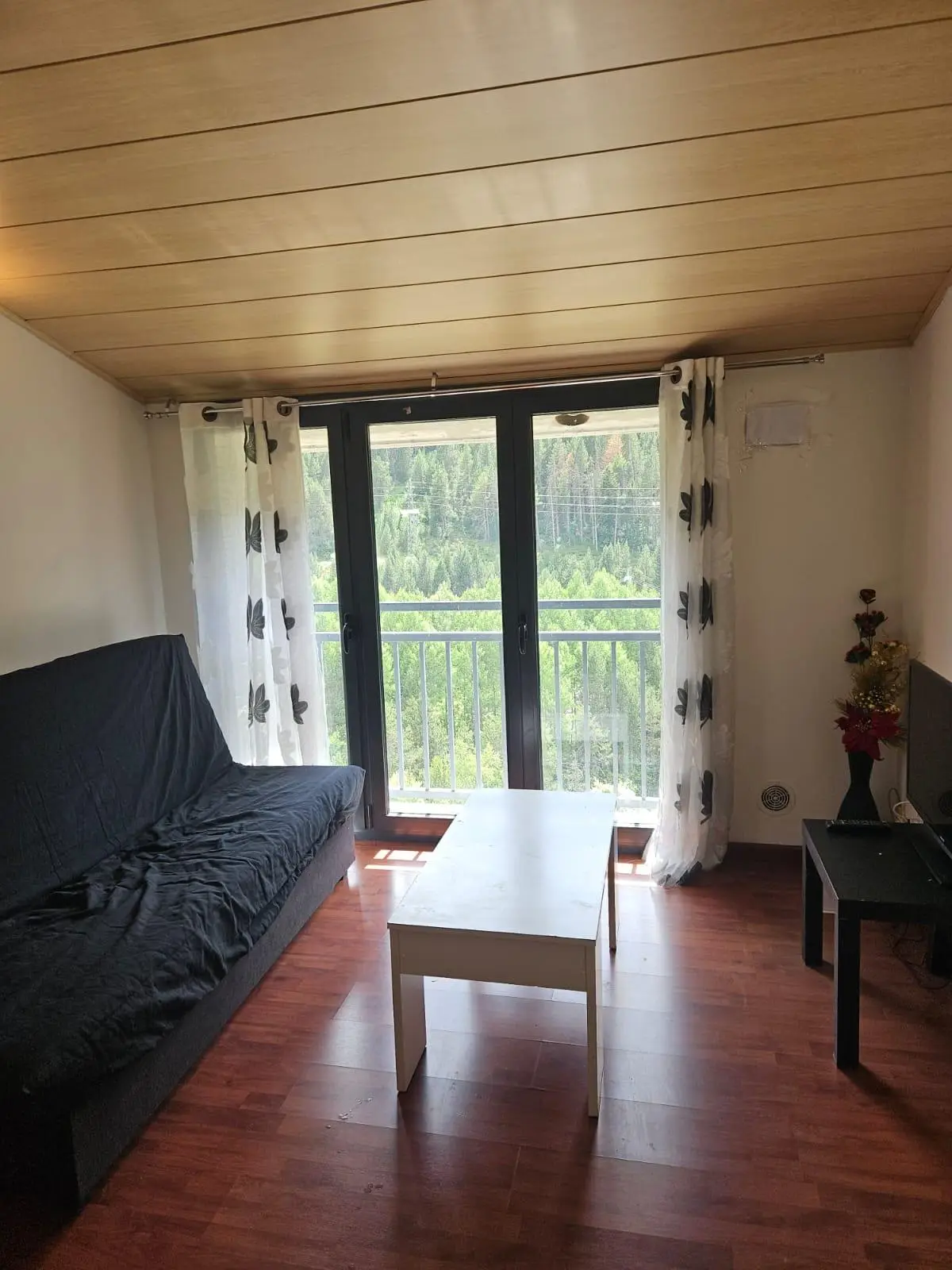 Piso de 1 habitación en Canillo, foto 14 de 14