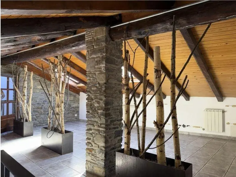 Chalet de 5 habitaciones en La Massana, foto 3 de 14