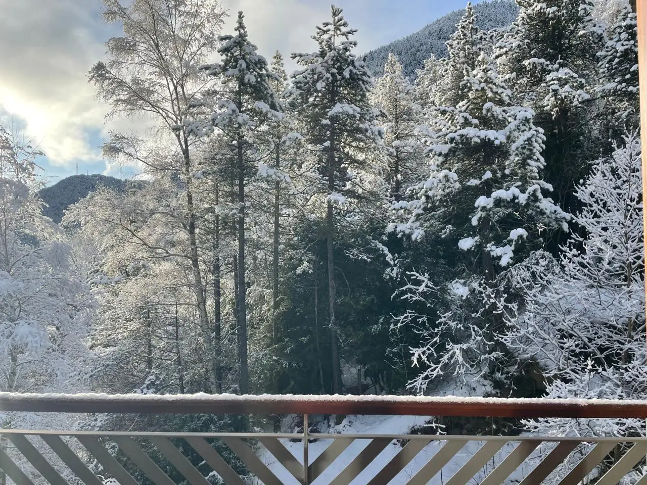 Apartamento de 4 habitaciones en La Massana, foto 4 de 16