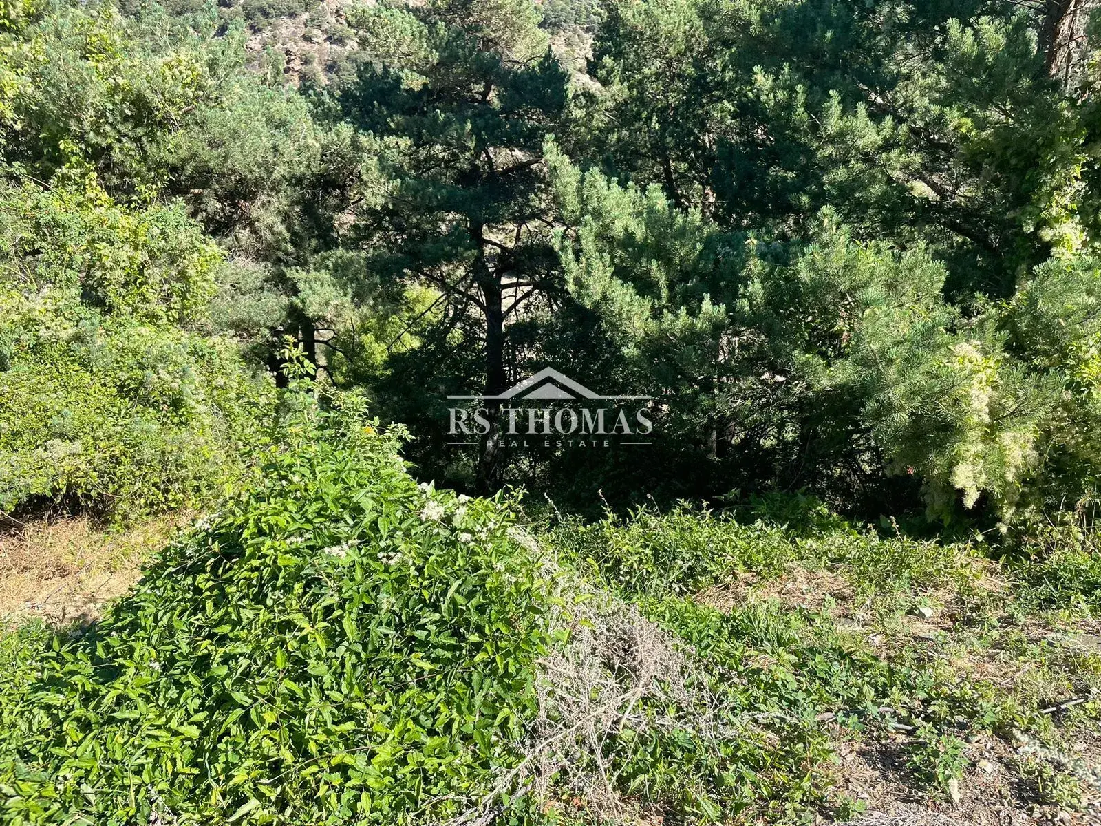Terreno en Sant Julià de Lòria, foto 7 de 15