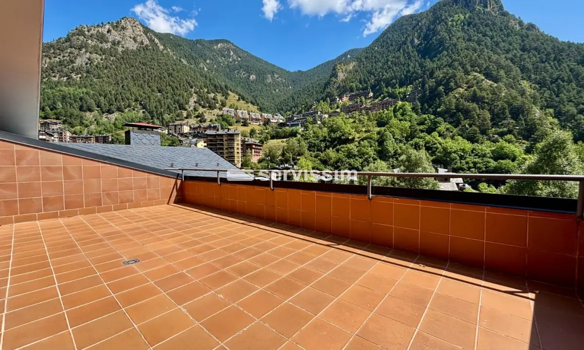 Apartment with 4 bedrooms in La Massana, photo 3 of 18