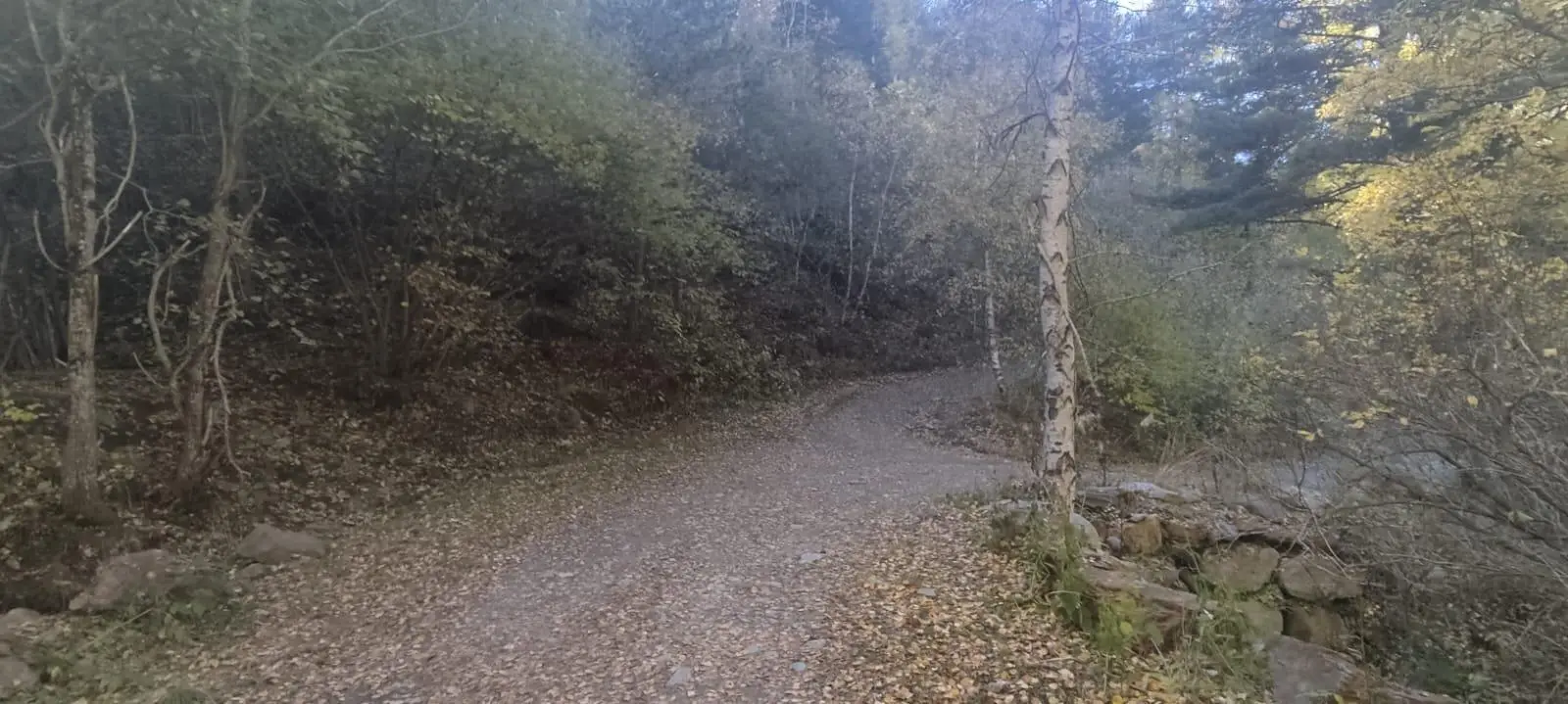 Piso en La Massana, foto 3 de 5