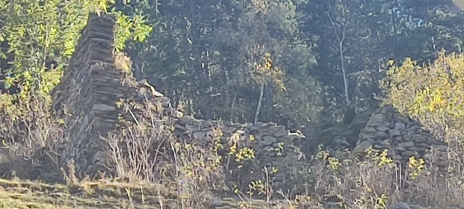 Piso en La Massana, foto 4 de 5
