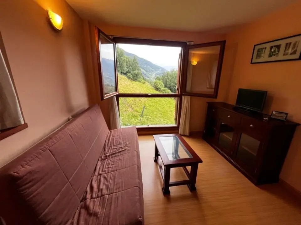 Apartamento de 1 habitación en Canillo, foto 3 de 9