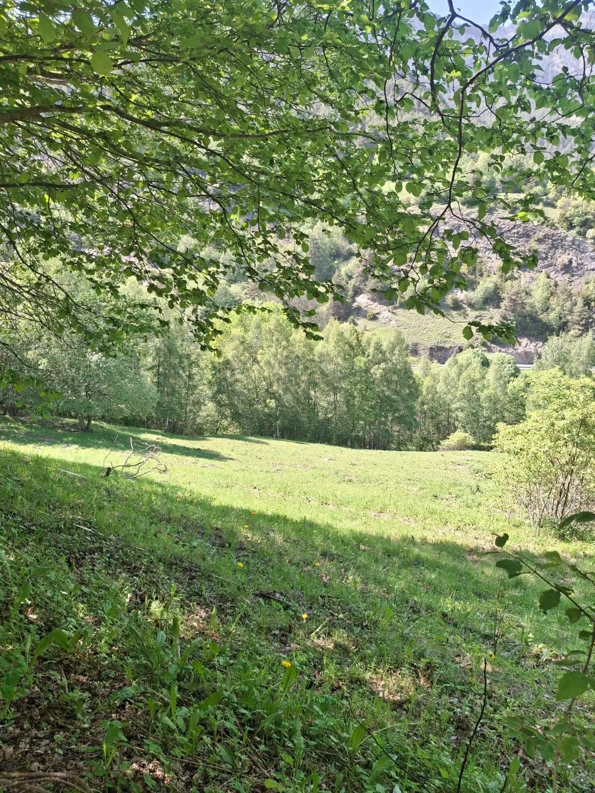 Terreno en La Massana, foto 4 de 9