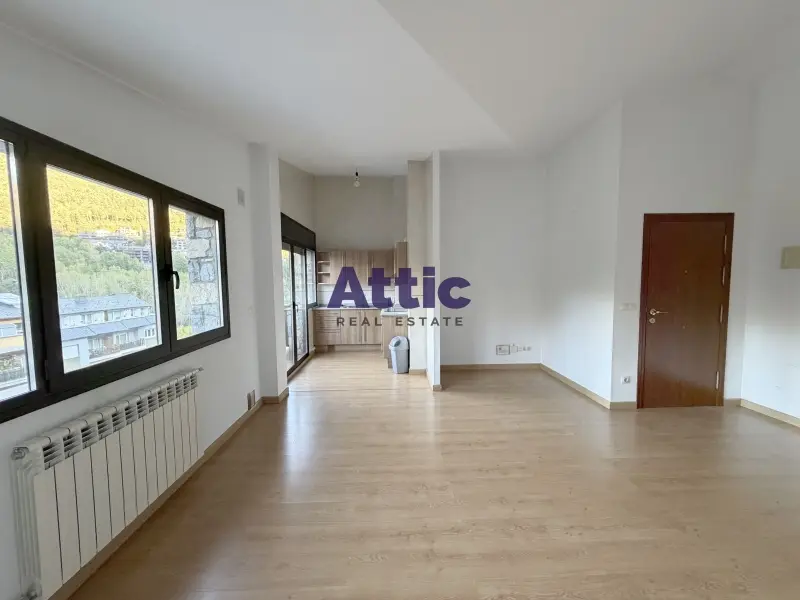 Apartamento de 2 habitaciones en La Massana, foto 7 de 29