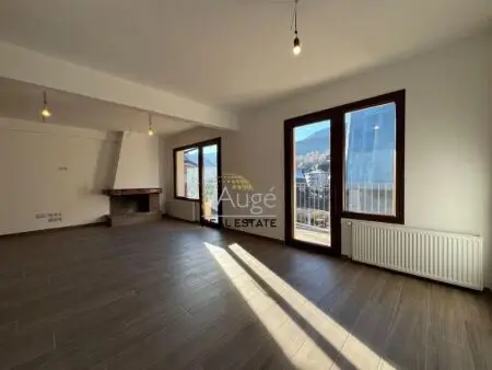 Apartamento de 2 habitaciones en La Massana, foto 3 de 23