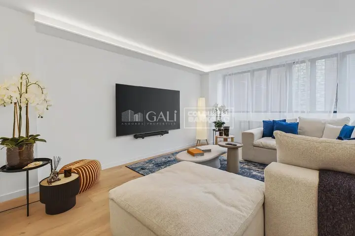 Apartamento de 5 habitaciones en Andorra la Vella, foto 3 de 14