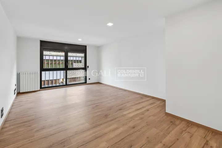 Appartement de 4 chambres à Escaldes-Engordany, photo 4 sur 28