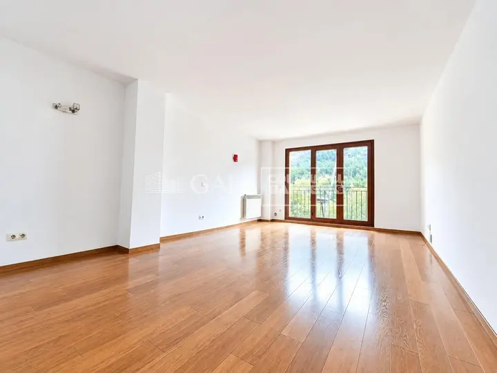 Pis de 2 habitacions a La Massana, foto 2 de 39