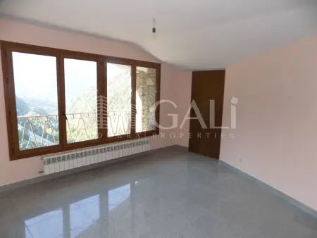 Autre de 19 chambres à Canillo, photo 5 sur 62