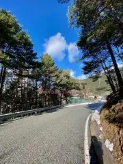 Terreno en La Massana, foto 5 de 19
