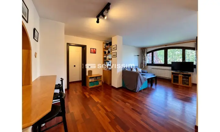 Flat with 2 bedrooms in La Massana, photo 2 of 24