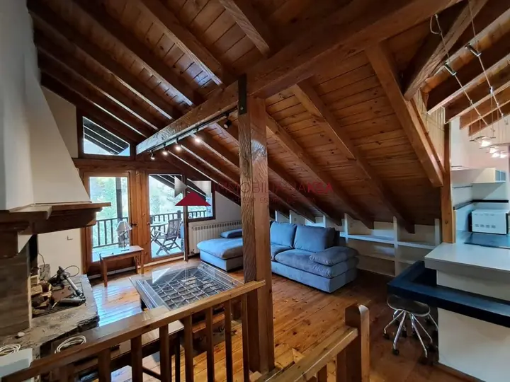 Apartamento de 2 habitaciones en La Massana, foto 4 de 10